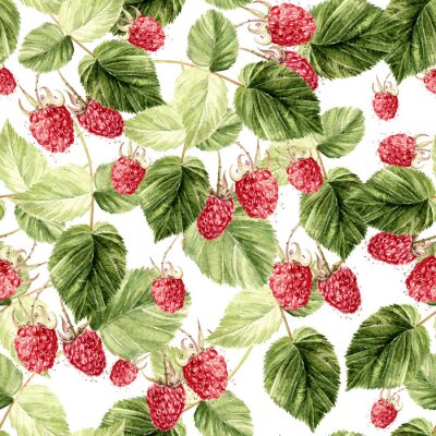 Papier peint à motif  Fruit de framboise aquarelle avec des feuilles vertes