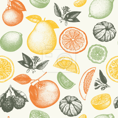 Papier peint à motif  Fruit en encre