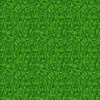 Papier peint à motif  Gazon naturel de couleur verte