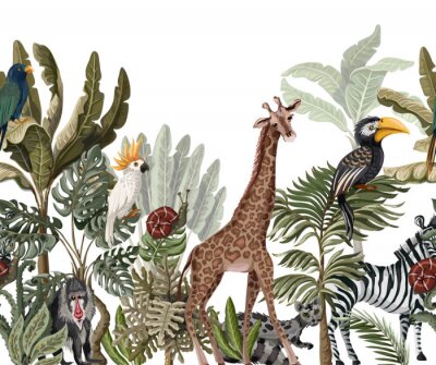 Girafe de la jungle et autres animaux
