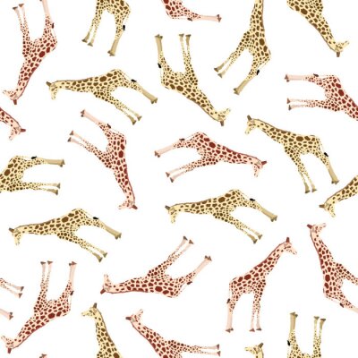 Papier peint à motif  Girafes sur fond blanc
