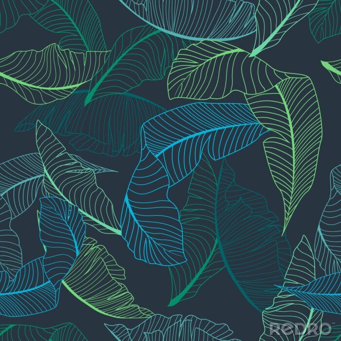 Papier peint à motif  Grandes feuilles transparentes