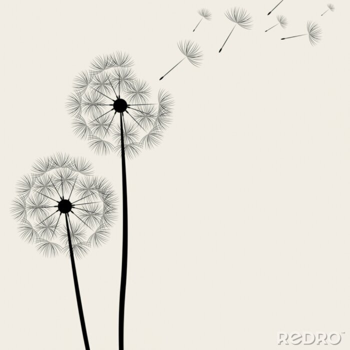 Papier peint à motif  Grandes fleurs de pissenlit