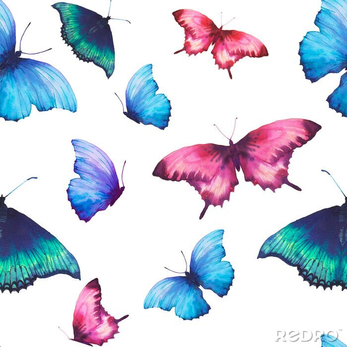 Papier peint à motif  Grands papillons colorés sur fond blanc