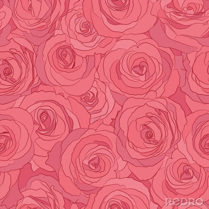 Papier peint à motif  Graphique de grandes roses dans les tons rouges