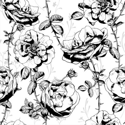 Papier peint à motif  Graphique noir et blanc avec des roses