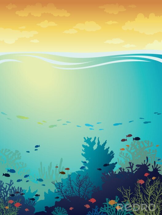 Papier peint à motif  Graphique récif corallien et poissons