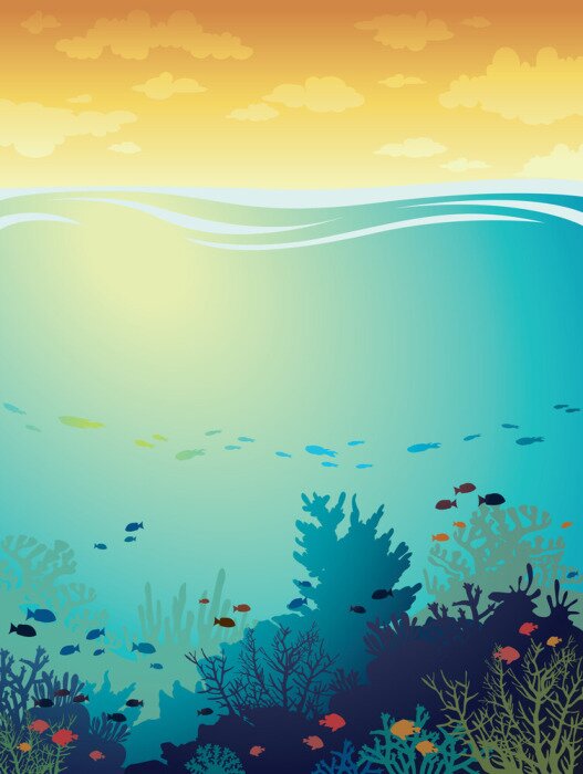 Papier peint à motif  Graphique récif corallien et poissons