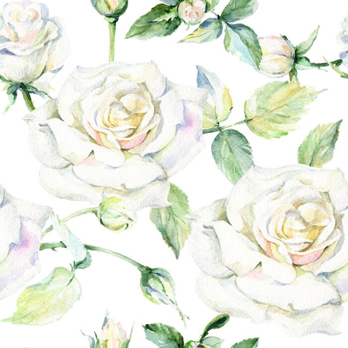 Papier peint à motif  Graphique romantique peint ? la main de roses blanches