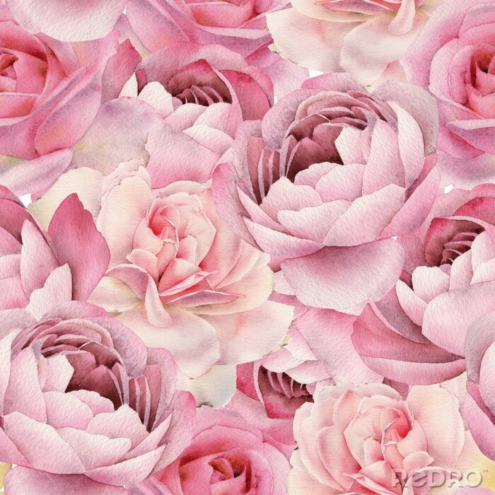 Papier peint à motif  Graphiques aux tons de pivoines roses