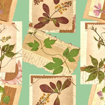 Papier peint à motif  Graphiques vintage dans les plantes