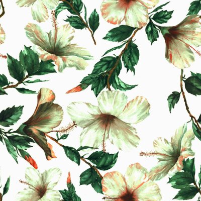 Papier peint à motif  Hand-drawn aquarelle motif floral sans couture avec les fleurs d'hibiscus blanc tendre sur le fond blanc dans le style vintage. Impression répétée tropicale et vibrante pour le textile, le papier pein