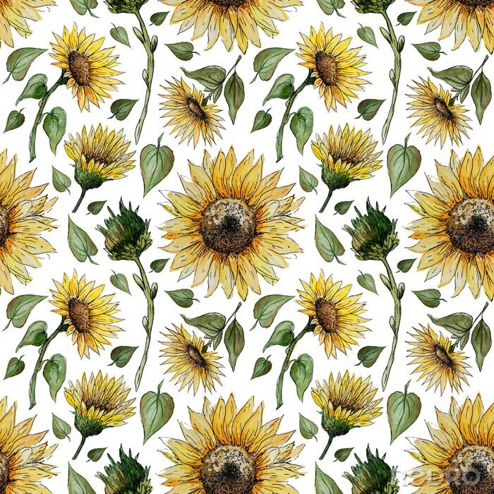Papier peint à motif  Hand drawn watercolor seamless pattern with sunflower flowers on a white background for your disign.