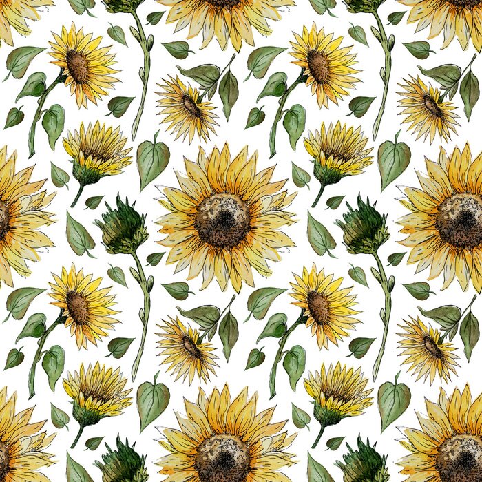 Papier peint à motif  Hand drawn watercolor seamless pattern with sunflower flowers on a white background for your disign.