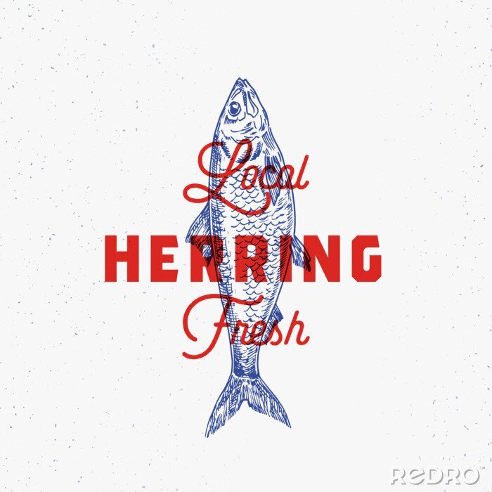 Papier peint à motif  Hareng frais local. Modèle de signe, symbole ou logo abstrait vectoriel. Poisson de hareng dessiné à la main avec une typographie rétro chic. Emblème de vecteur vintage avec effet d'impression rétro.