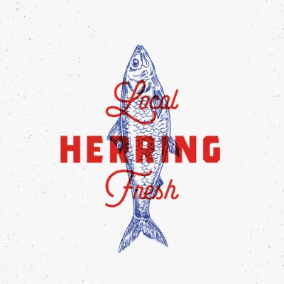Sticker  Hareng frais local. Modèle de signe, symbole ou logo abstrait vectoriel. Poisson de hareng dessiné à la main avec une typographie rétro chic. Emblème de vecteur vintage avec effet d'impression rétro.