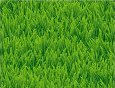 Papier peint à motif  Herbe fraîchement cultivée