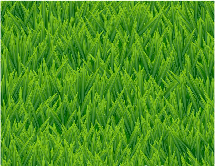 Papier peint à motif  Herbe fraîchement cultivée