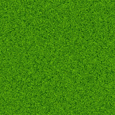 Papier peint à motif  Herbe taillée verdâtre