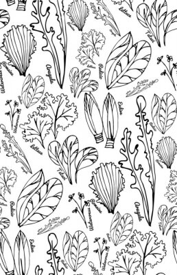 Papier peint à motif  Herbes aromatiques noir et blanc sur fond clair