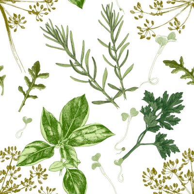 Papier peint à motif  Herbes directement du jardin