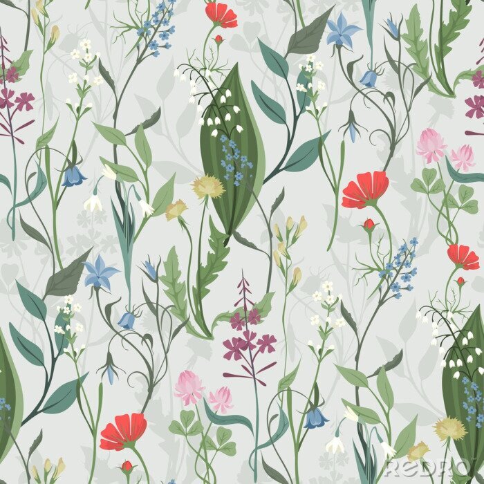 Papier peint à motif  Herbes et fleurs sauvages colorées
