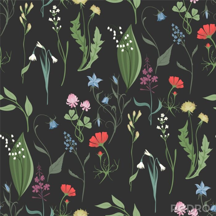Papier peint à motif  Herbes et fleurs sauvages sur fond sombre