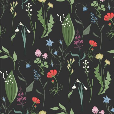Papier peint à motif  Herbes et fleurs sauvages sur fond sombre