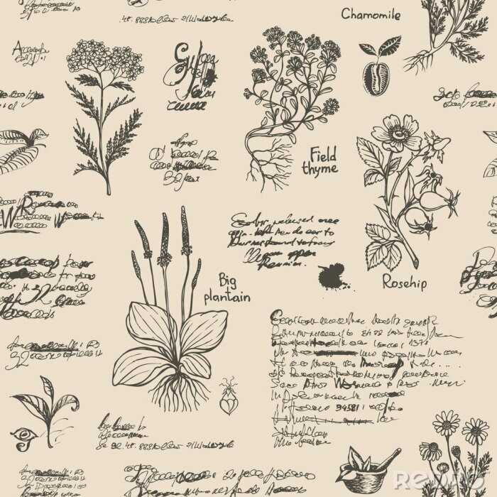 Papier peint à motif  Herbier vintage