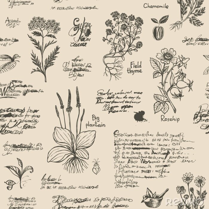 Papier peint à motif  Herbier vintage