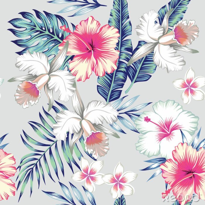 Papier peint à motif  Hibiscus, orchidées, tropical, seamless, fond
