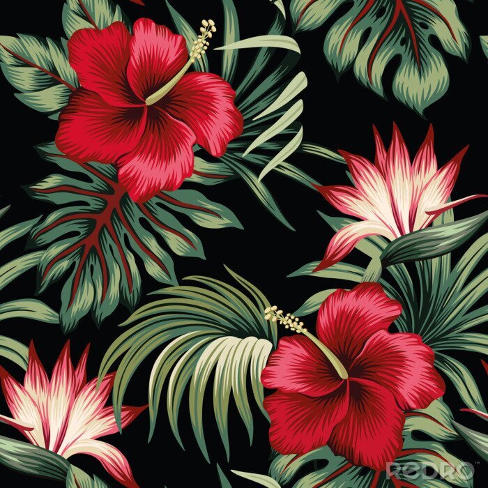 Papier peint à motif  Hibiscus rouge et feuilles sur fond noir