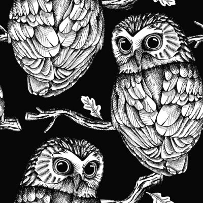 Papier peint à motif  Hibou noir et blanc sur une branche