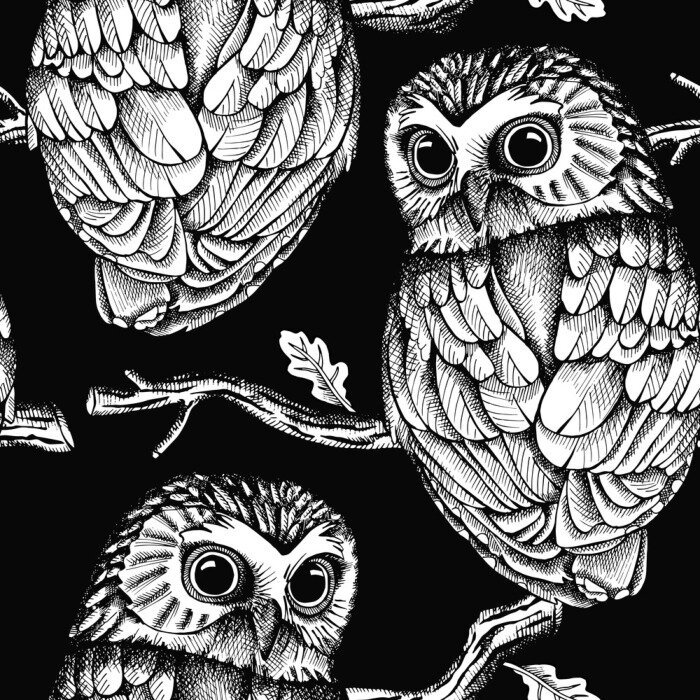 Papier peint à motif  Hibou noir et blanc sur une branche