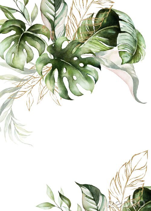 Papier peint à motif  Illustration aquarelle inspirée de plantes exotiques
