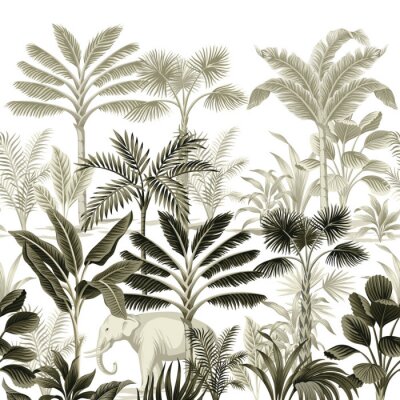 Illustration botanique de la jungle dans un style vintage