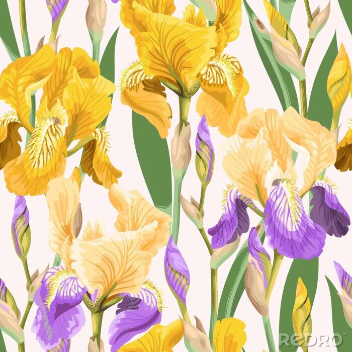 Papier peint à motif  Iris en fleurs