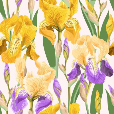 Papier peint à motif  Iris en fleurs