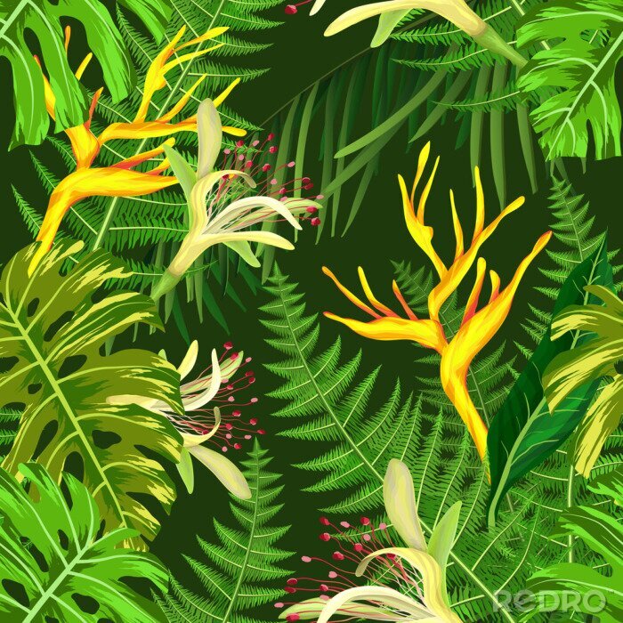 Papier peint à motif  Jungle avec plantes tropicales