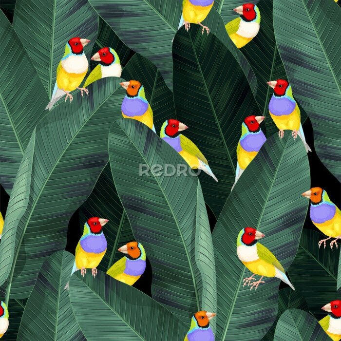 Papier peint à motif  Jungle des oiseaux