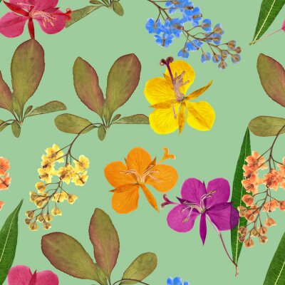 Papier peint à motif  L'épine-vinette et l'épilobe sur fond bleu