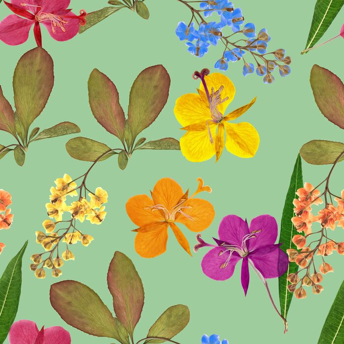 Papier peint à motif  L'épine-vinette et l'épilobe sur fond bleu