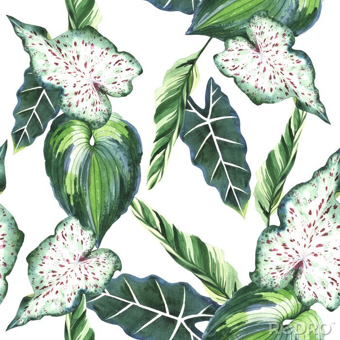 Papier peint à motif  La nature à Hawaï