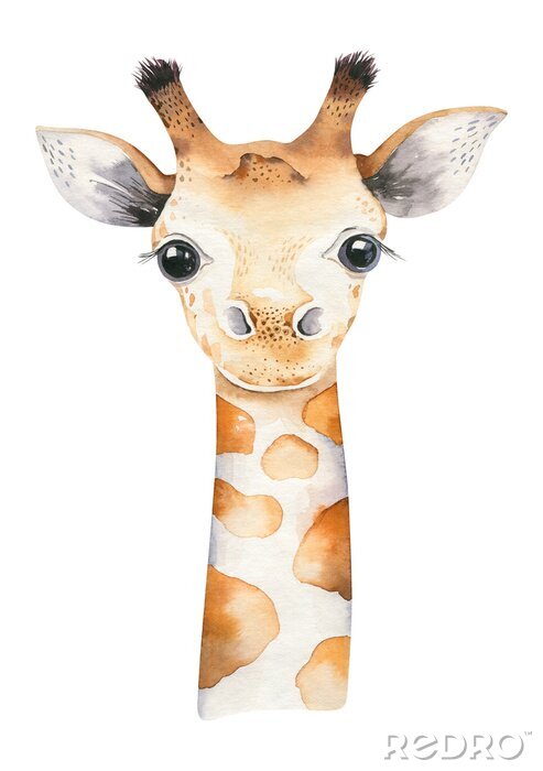 Papier peint à motif  La tête d'une jeune girafe