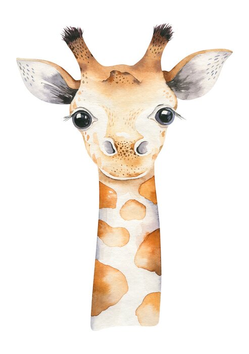 Papier peint à motif  La tête d'une jeune girafe