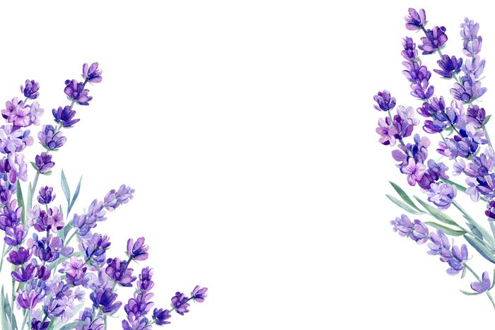 Papier peint à motif  Lavande aquarelle