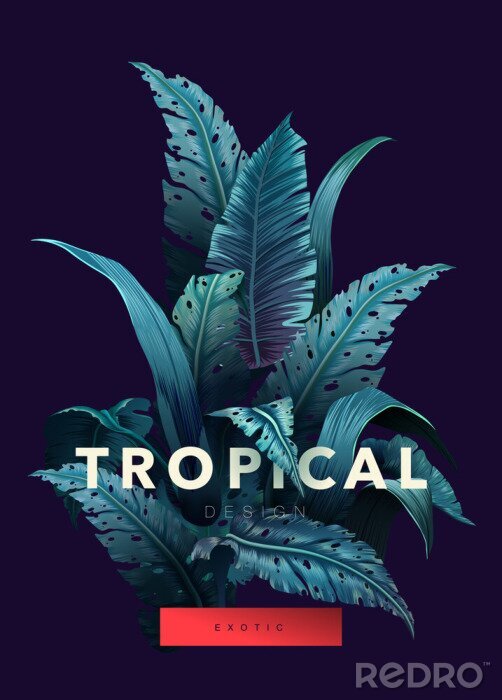 Papier peint à motif  Lettrage jungle et tropical