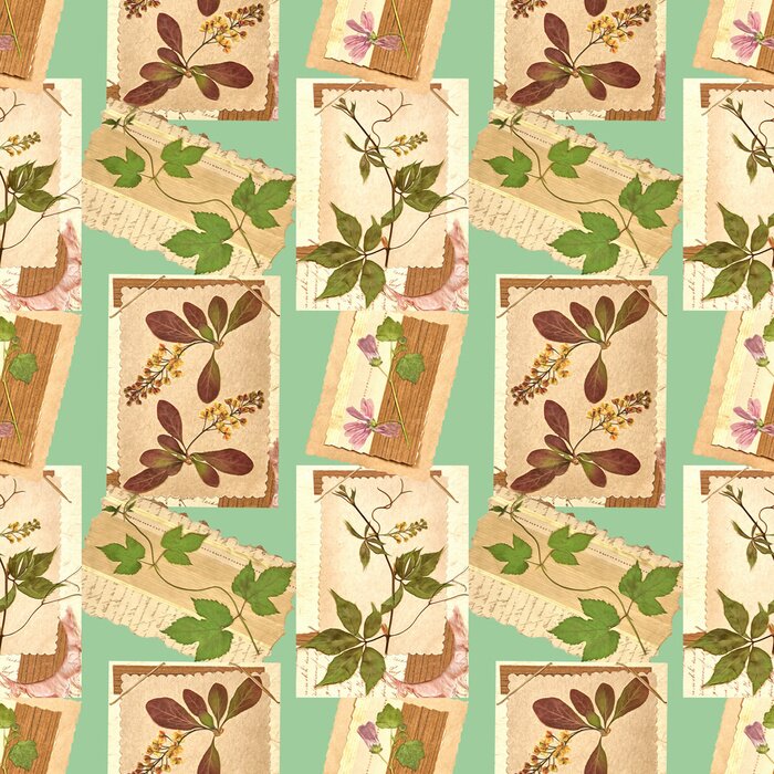 Papier peint à motif  Mauve d'été et feuilles sur cartes postales anciennes