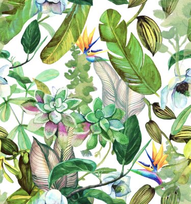 Papier peint à motif  Modèle d'aquarelle transparente avec des fleurs tropicales, magnolia, succulentsr, orchidée vanille, feuilles tropicales, feuilles de bananier