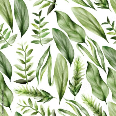 Papier peint à motif  Modèle de feuilles de différentes espèces d'arbres